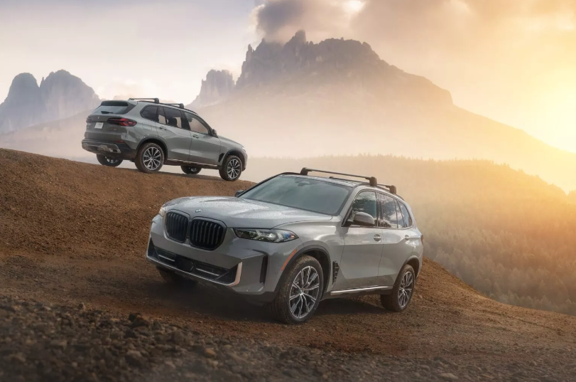 BMW X5 Silver Anniversary Edition 2025.PNG