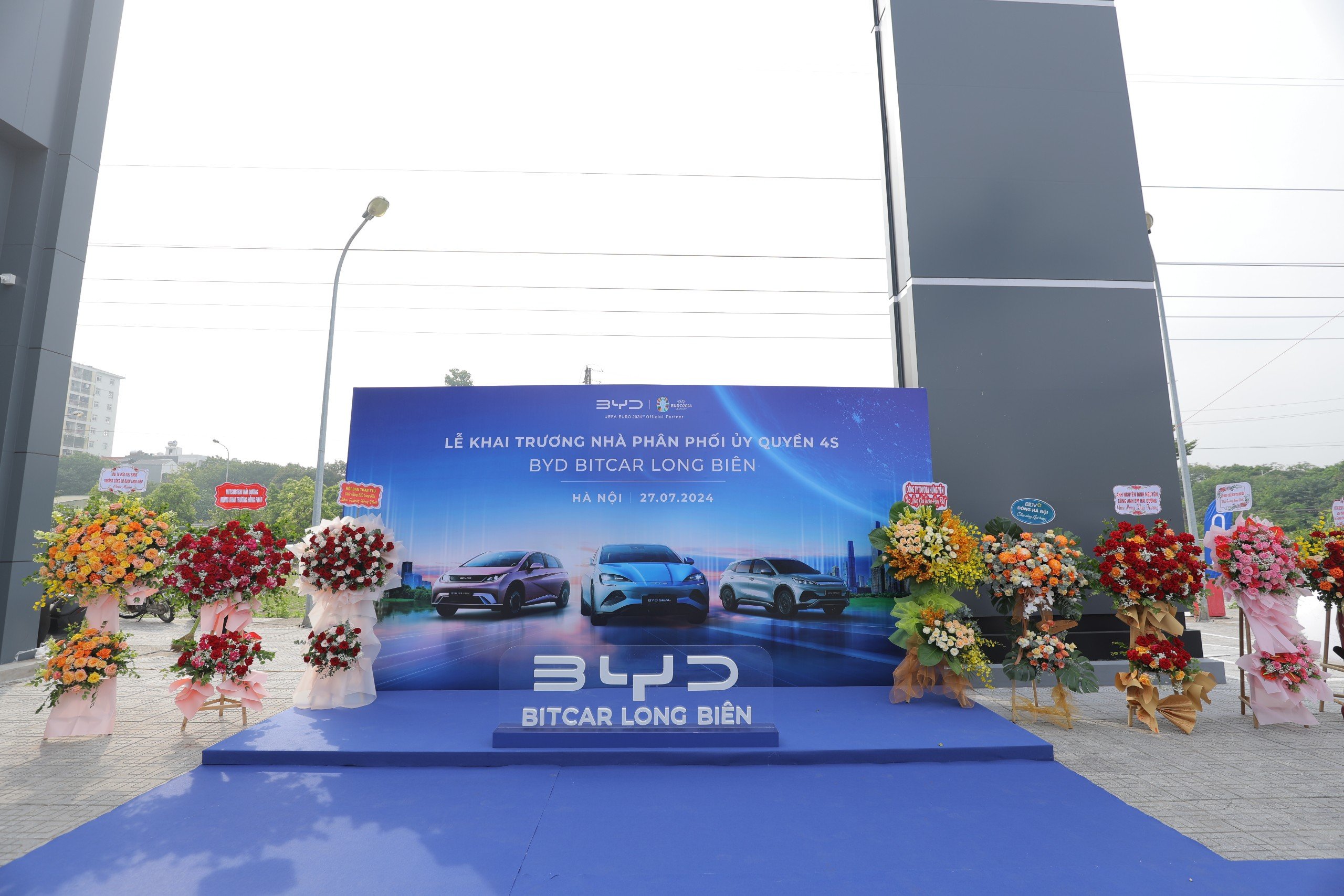 BYD 5.jpg