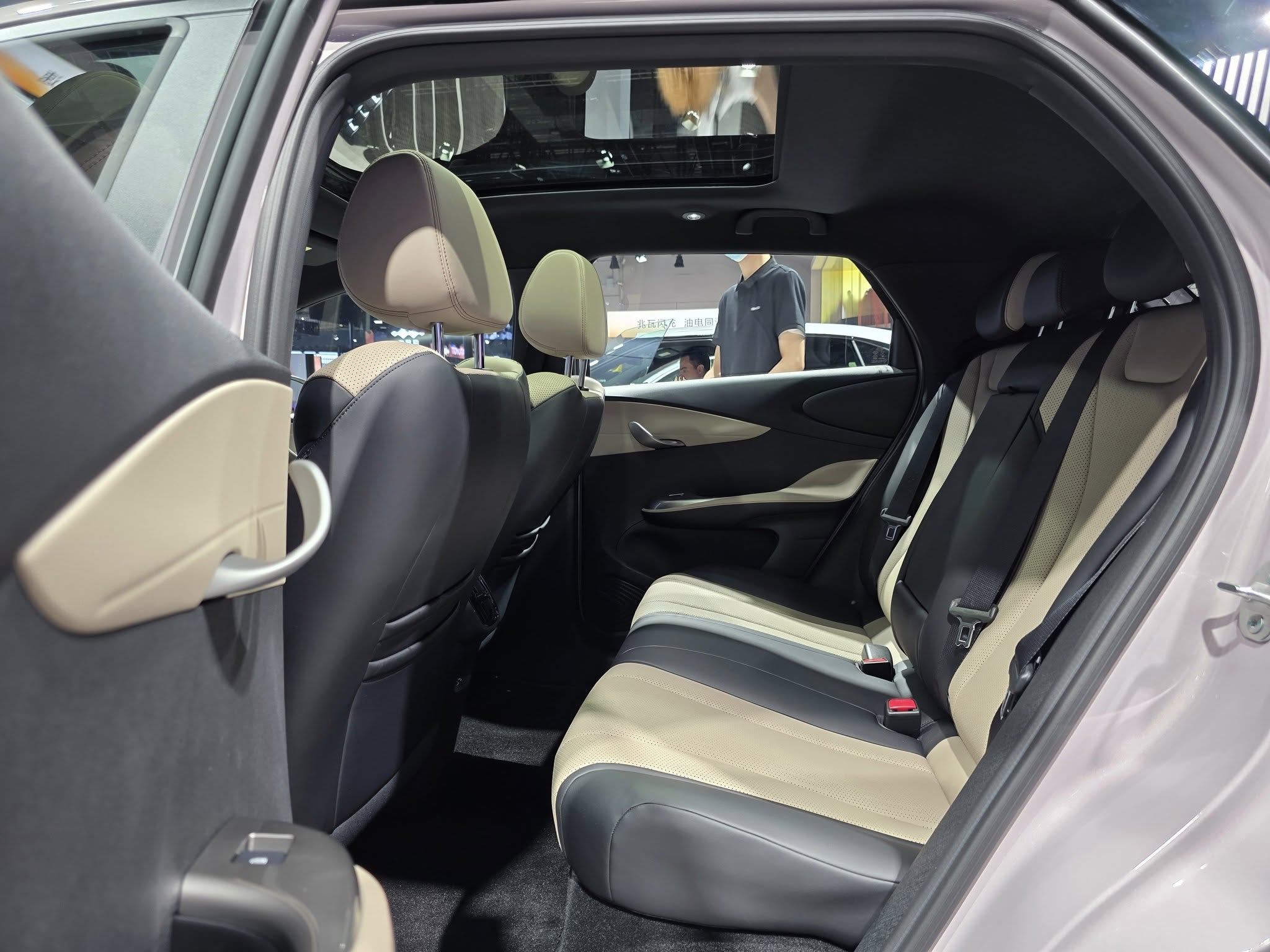 BYD Dolphin 2025 8.jpg