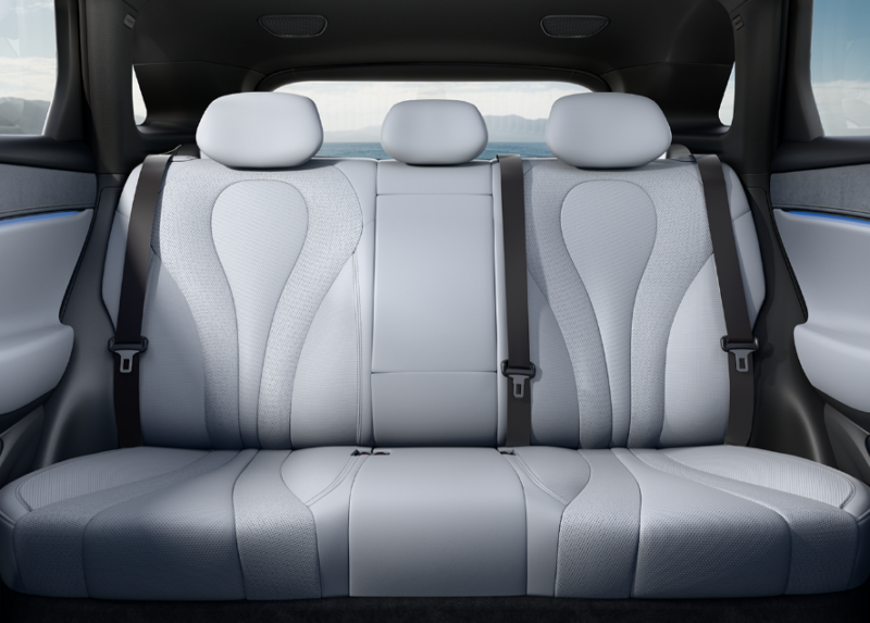 BYD Sealion 06 7.png