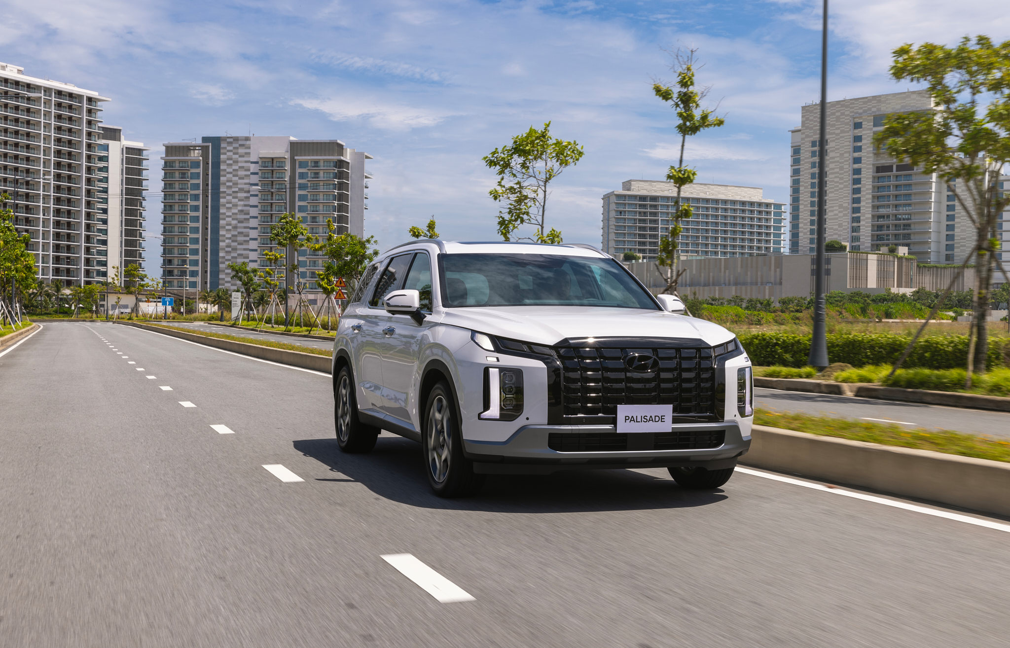 Hyundai Palisade - 1.jpg