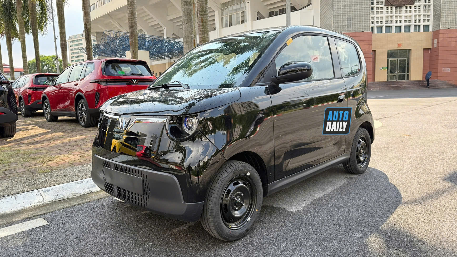 Minio Green  (1).jpg