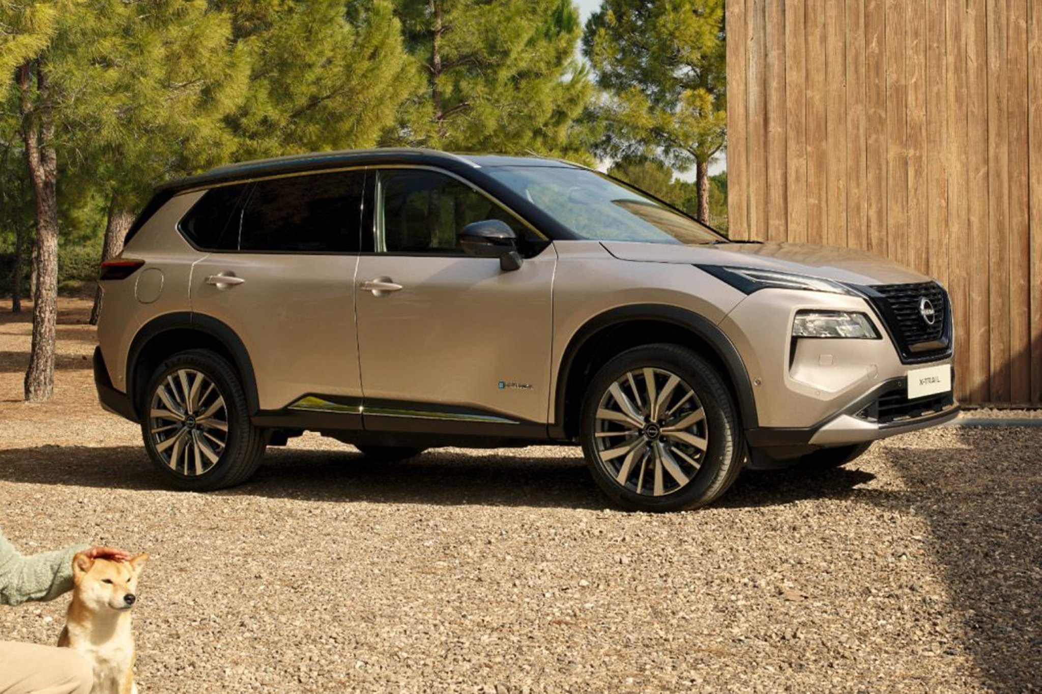 Nissan X-Trail 7.jpg