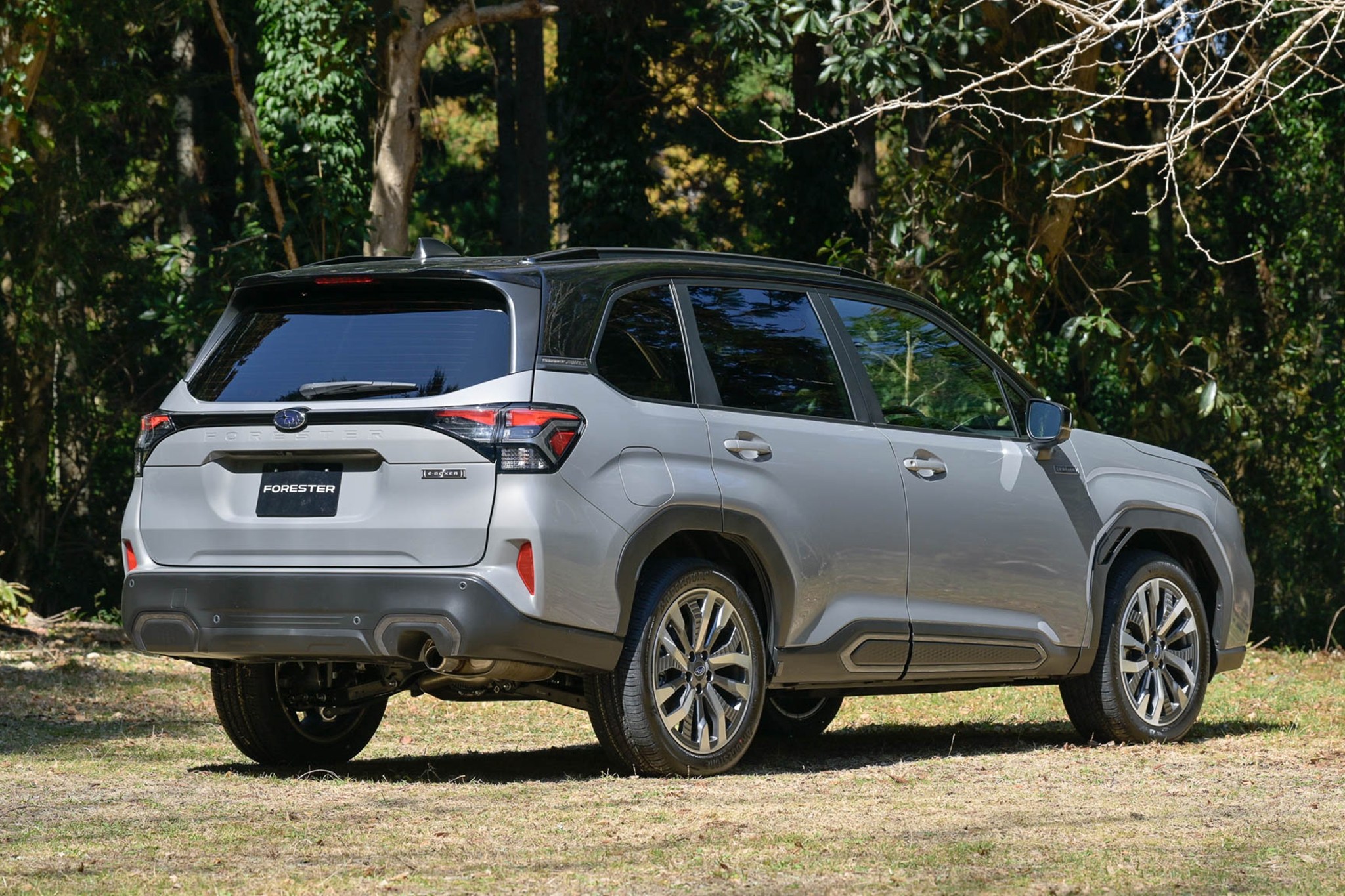 Subaru Forester  2026 7.jpg