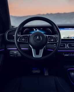 10. Maybach GLS 480 FL.jpg