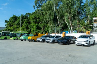 BYD (3).jpg