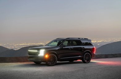 Hyundai Palisade -1.jpg