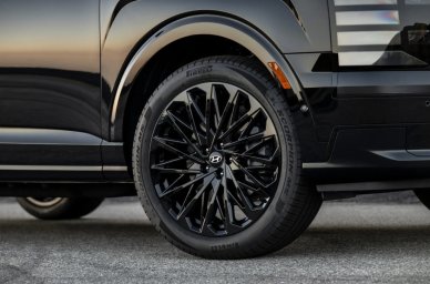 Hyundai Palisade -3.jpg